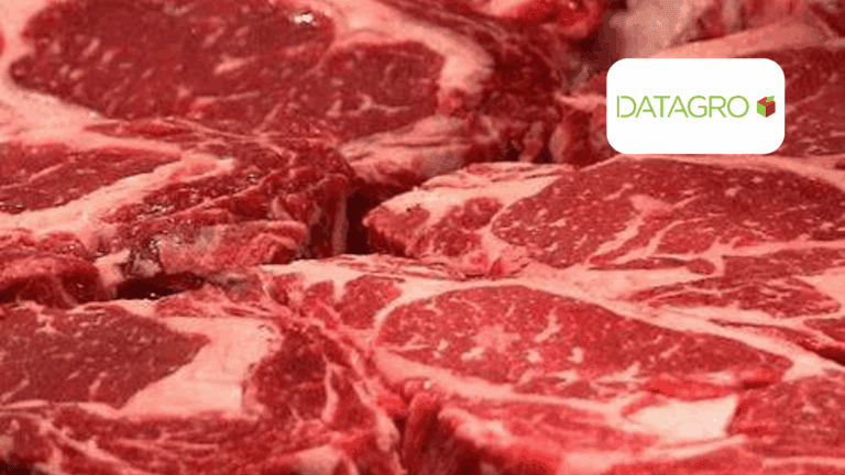 [DATAGRO] Diante de uma conjuntura favorável, especialistas apontam caminhos para o Mercosul se consolidar cada vez mais no mercado global de carnes